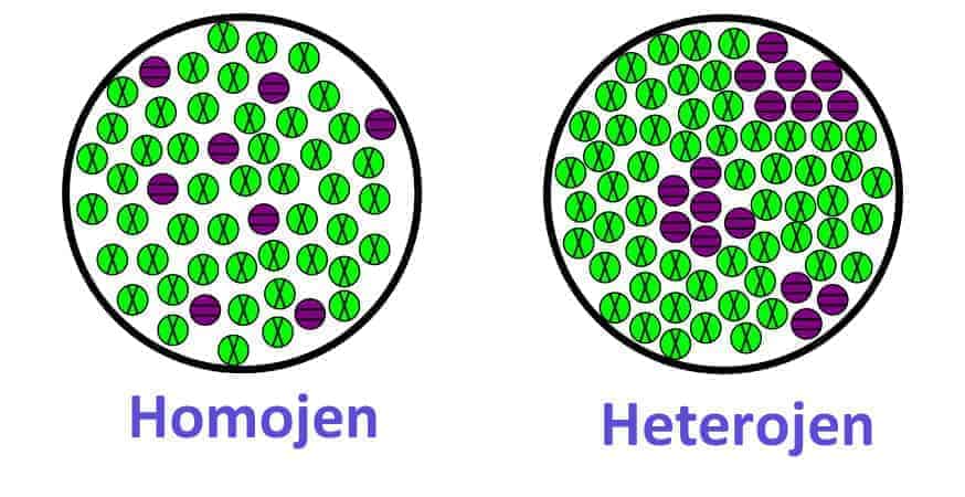 Homojen ve Heterojen Karışımlar Homojen ve Heterojen Karışımlar