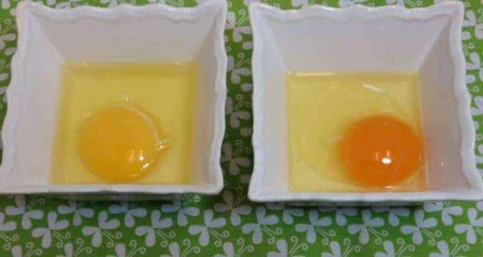 Organik Yumurta Nasıl AnlaşılırOrganik Yumurta Nasıl Anlaşılır
