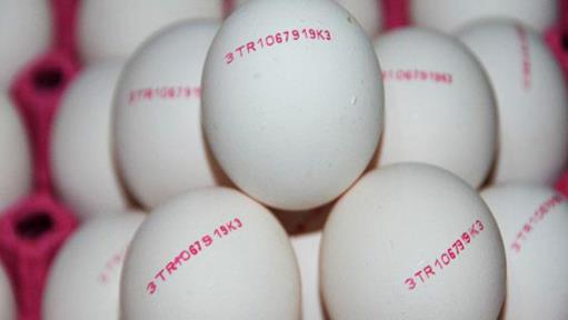 yumurta üzerindeki kodlar