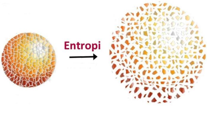 Entropi Nedir