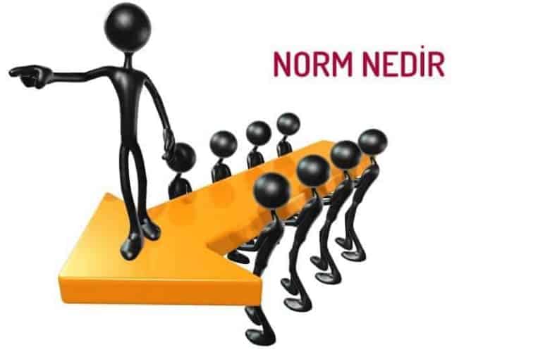 norm nedir muhendis beyinler