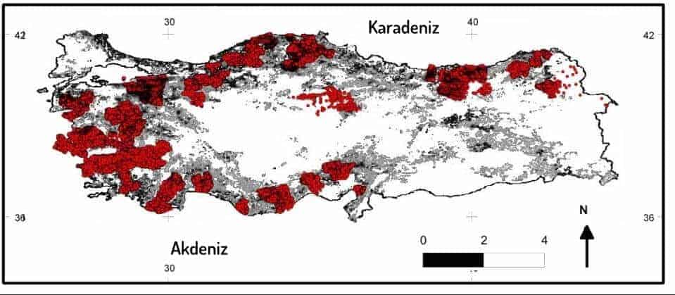 türkiye orman haritası