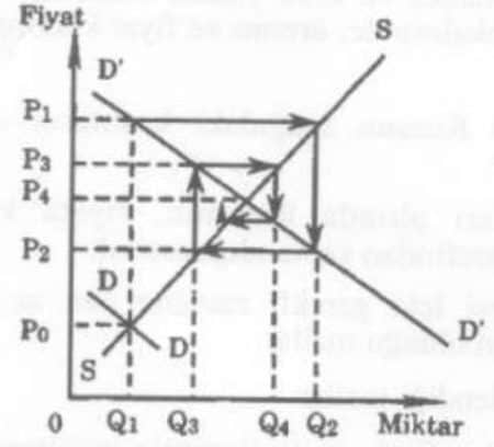 Örümcek Ağı Teoremi - Mühendis Beyinler