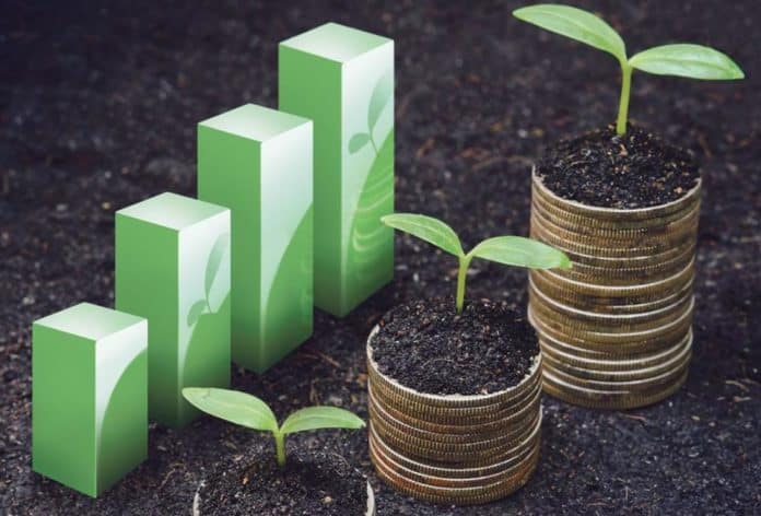 Örümcek Ağı Teoremi - Mühendis Beyinler