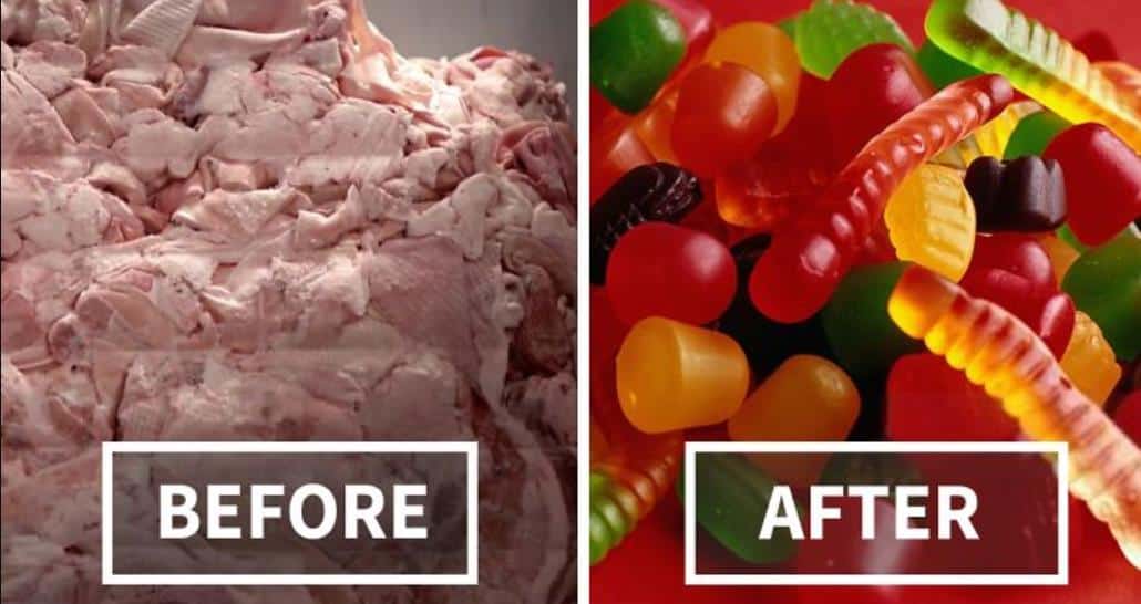 Hayvan Jelatini Nas l retilir M hendis Beyinler how-to-identify-halal-and-haram-food-codes-halal-aor-haram-food