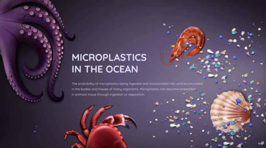 mikroplastikler nasıl temizlenir