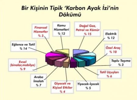 karbon ayak izi dökümü