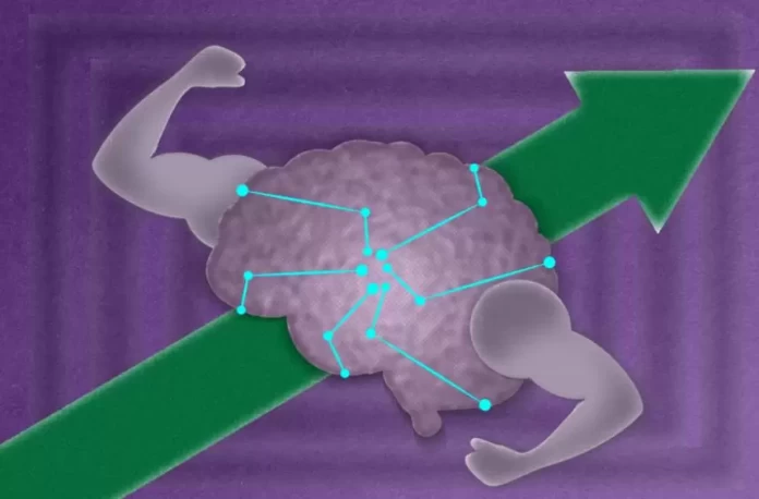 Yönlendirilmiş Öğrenme