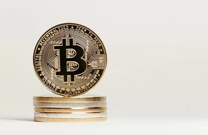 Satoshi Nakamoto Kimdir